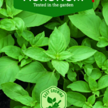Load image into Gallery viewer, Basilikum "Italiano Classico", Ocimum basilicum L