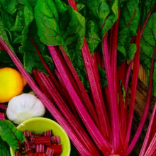 Load image into Gallery viewer, Bladbede "Magenta Sunset", Beta vulgaris L