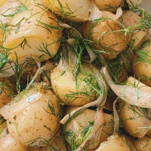 Load image into Gallery viewer, Dild "Superdukat", Anethum graveolens