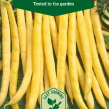 Load image into Gallery viewer, Buskbønne dværg "Gondola", Phaseolus coccineus