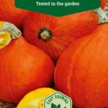 Load image into Gallery viewer, Græskar "Potimarron", Cucurbita maxima