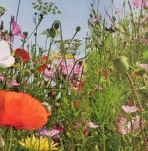 Load image into Gallery viewer, Blomster Kollektion - sæt med 4 frømåtte
